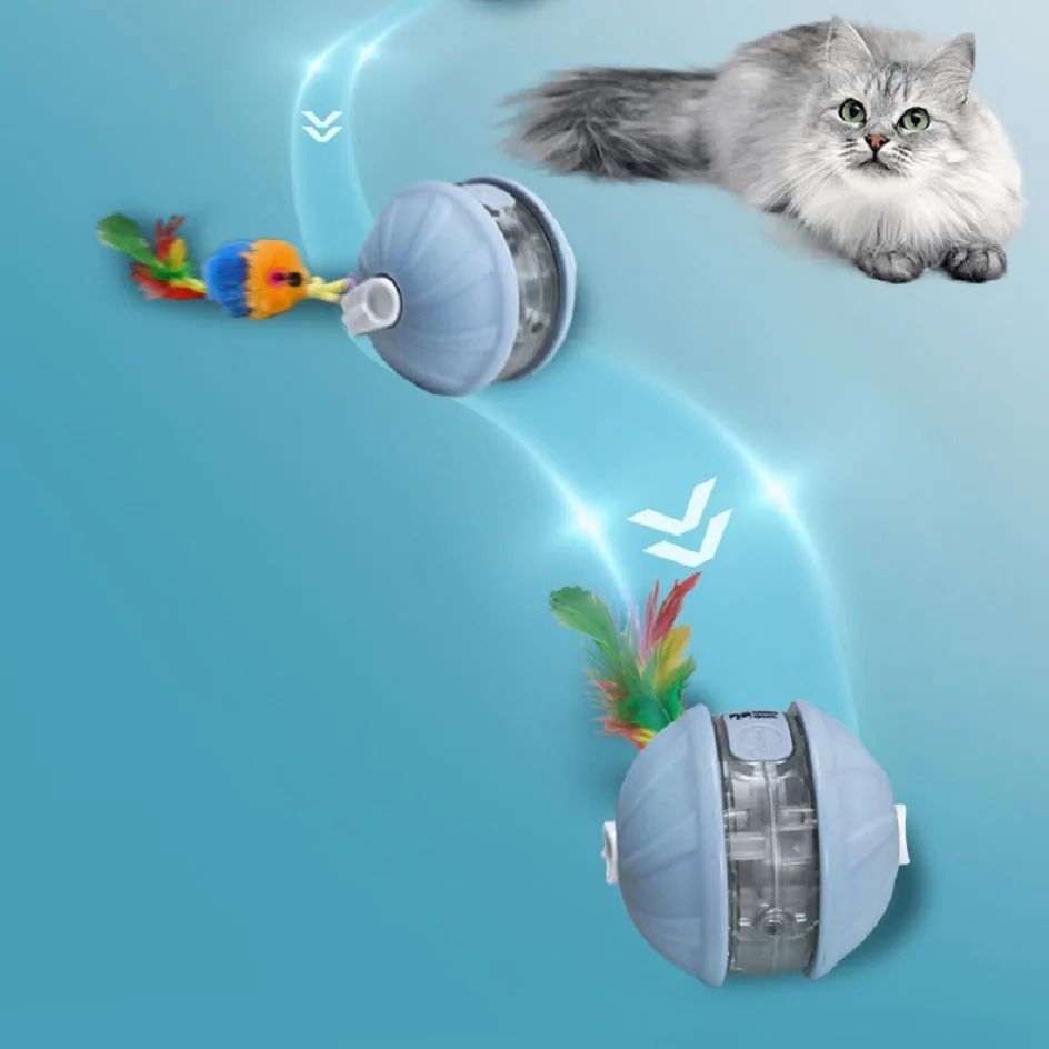 Fellfreunde Laserball