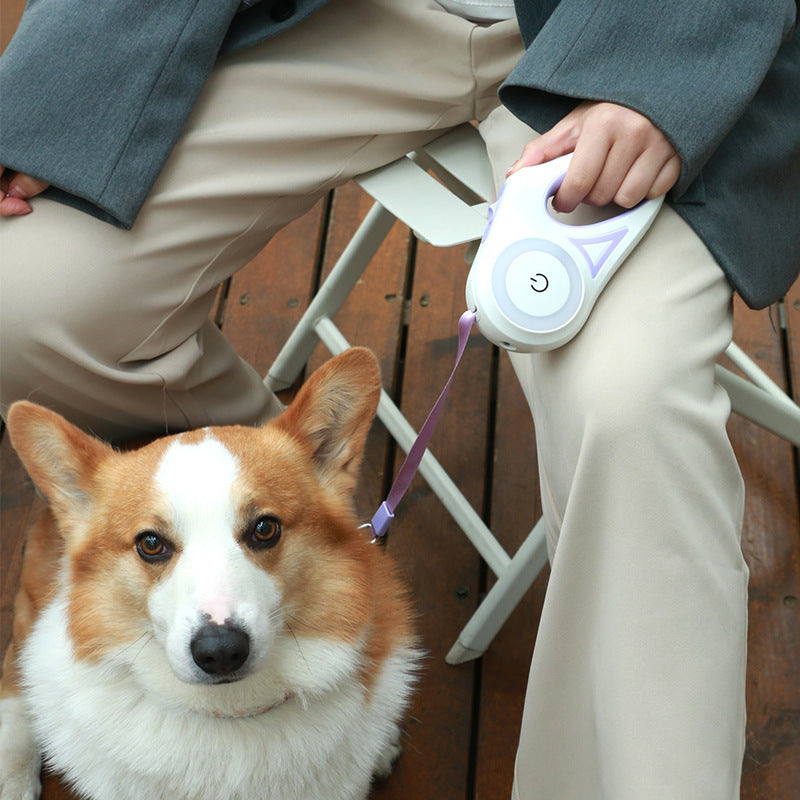 Fellfreunde Rollleine – Automatische Hundeleine mit Halsband und Spotlight für kleine und mittelgroße Hunde