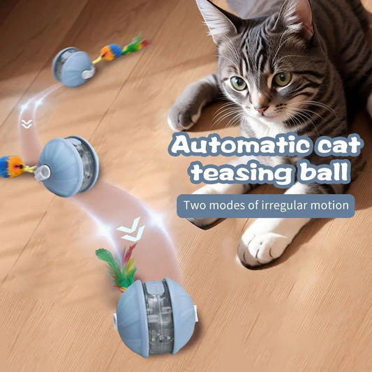 Fellfreunde Laserball